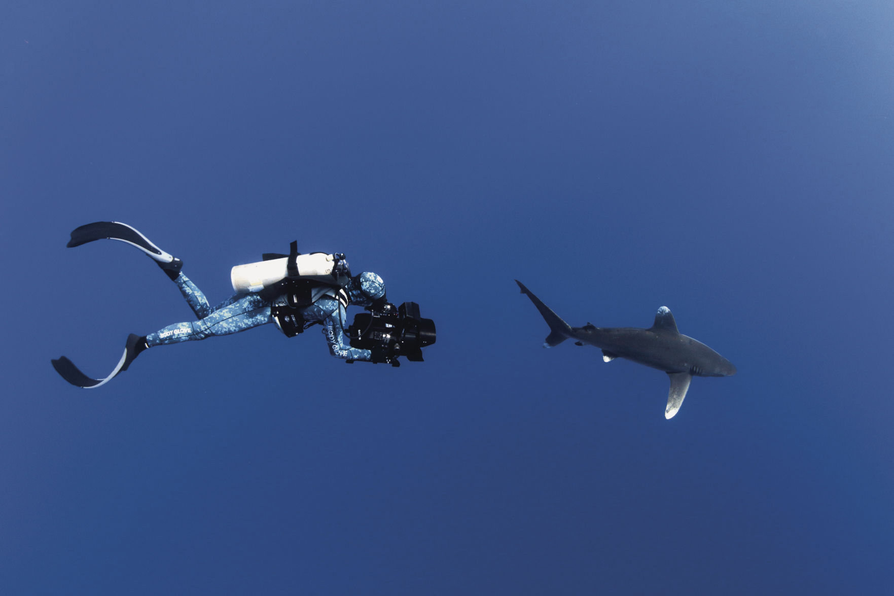 "Sharkwater Extinction" film grab